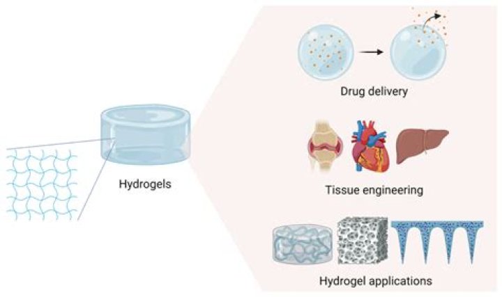 Are hydrogels hydrophilic?