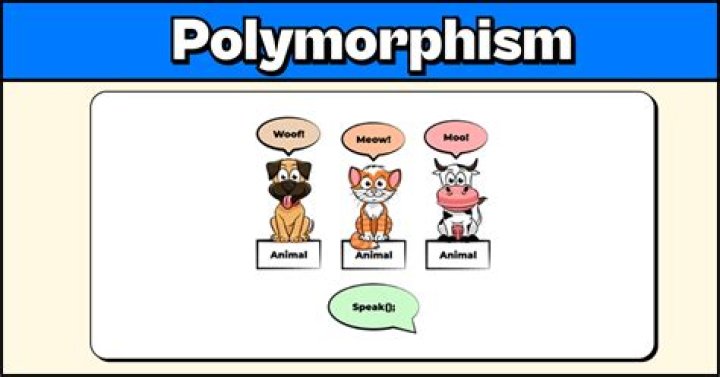 Can polymorph be dispelled?