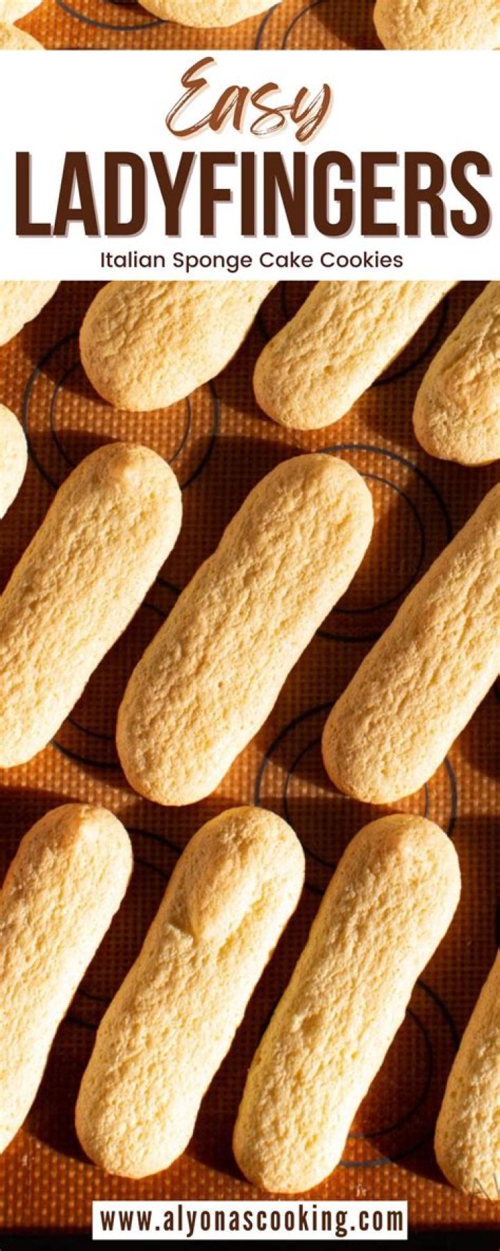 Can you use sponge cake instead of ladyfingers?