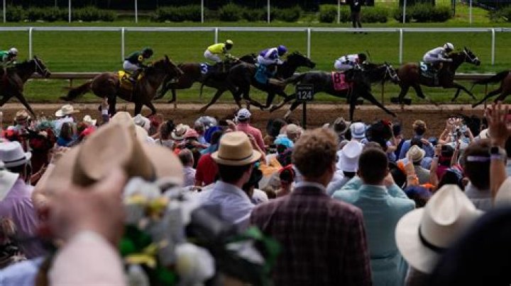 Does Derby Lane still have dog racing?