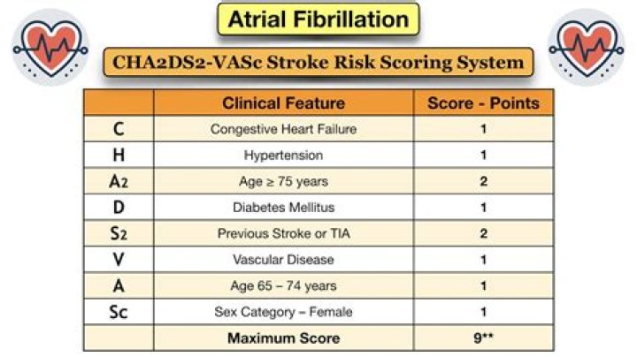How do you interpret CHA2DS2-VASc score?