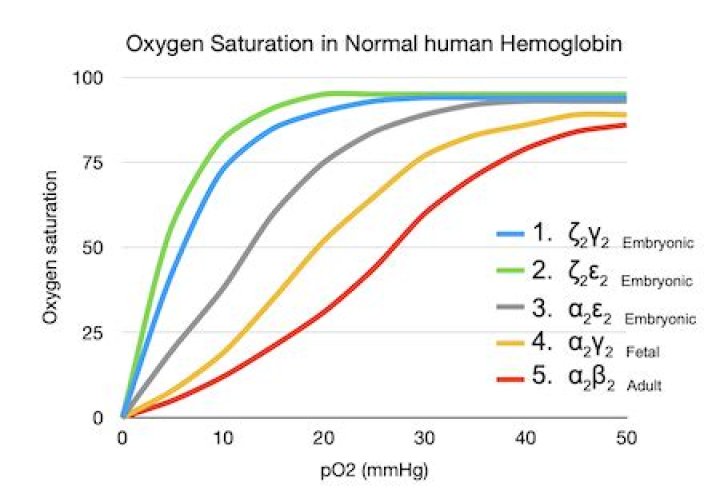 How is oxygen ratio calculated?