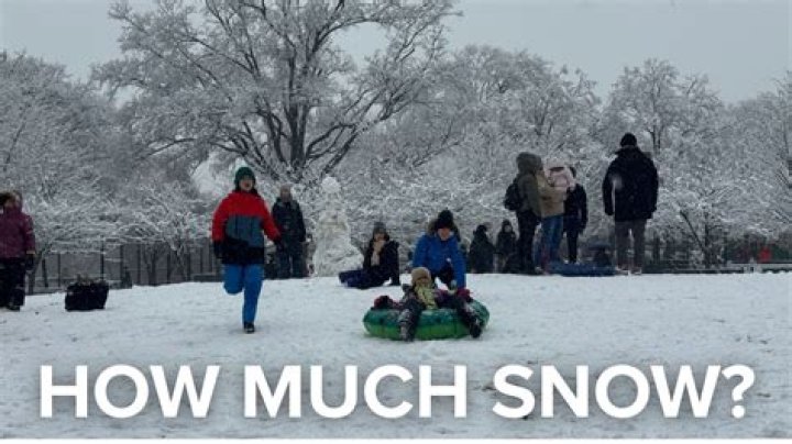 How much snow did Silver City NM get?