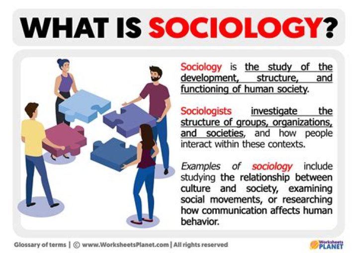 Is it smart to major in sociology?