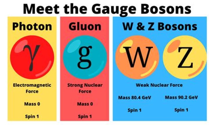 Is there a w0 boson?