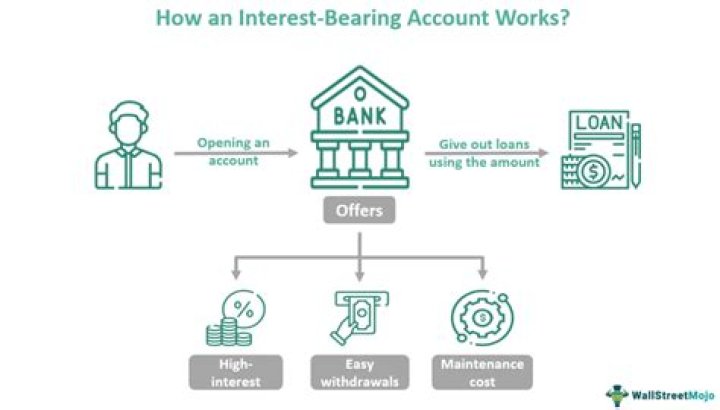 What are interest bearing assets examples?
