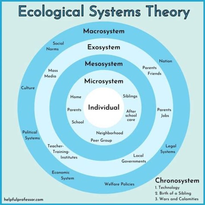 What are the different ecological theories?