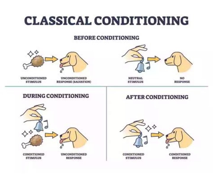 What brands use classical conditioning?