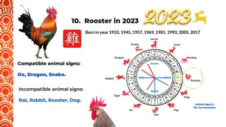 What does being born in the Year of the Rooster mean?