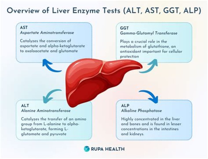 What if alanine transaminase SGPT is high?