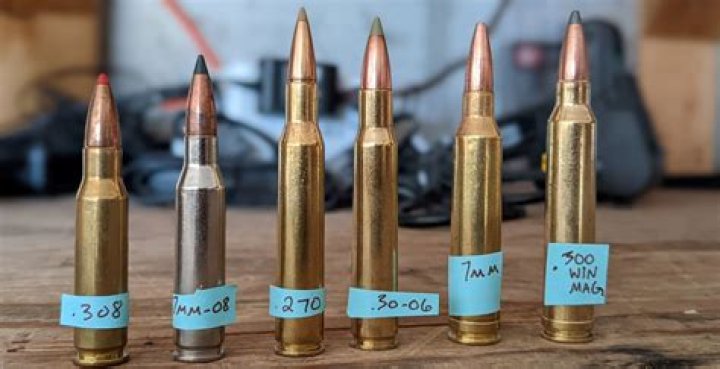 What is the best ammo for a rifle?