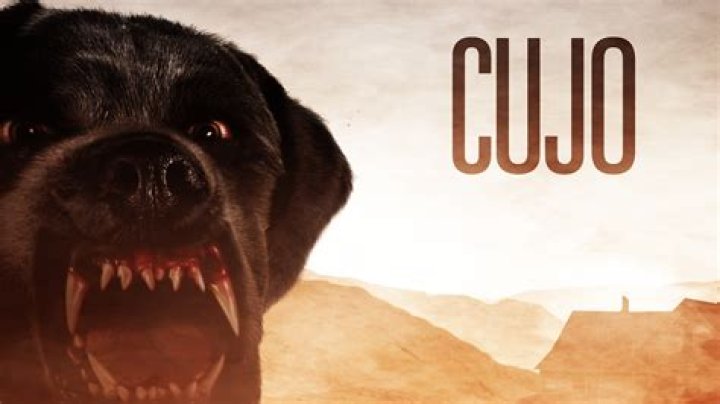 Where can I see the movie Cujo?
